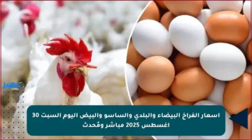 أسعار الفراخ البيضاء والبلدي والساسو والبيض اليوم السبت 30 أغسطس 2025 مباشر ومُحدث